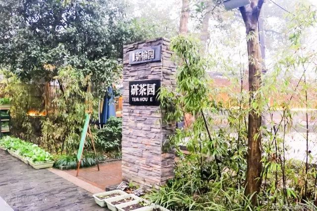 来杭州旅游必吃的几家餐厅盘点,针对吃货来说吃才是人生乐趣