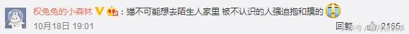 共享猫咪可以用吗,共享猫咪9.9元租一天