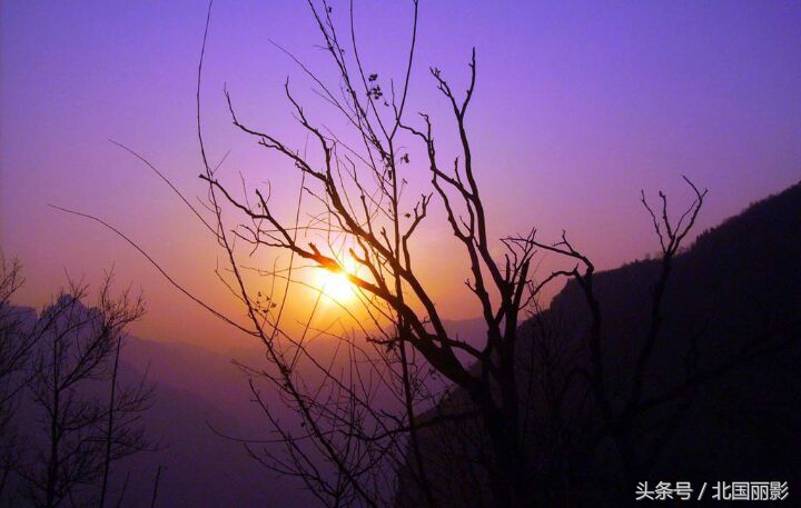 原创现代诗∶芒刺（诗五首）｜诗人乌吉斯格朗