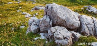 个人期权个人所得税,个人所得税退税股票