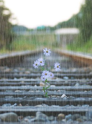 栗子姐每日情感问答,栗子姐每日情感问答全集