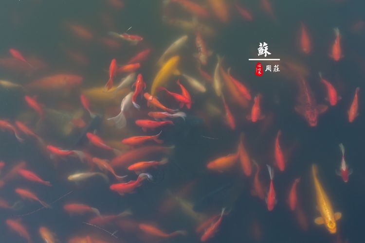 蹇冨績鍐棩灏忚,蹇冨績鍐棩