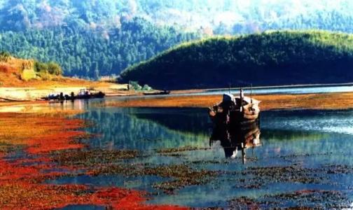 湖北咸宁崇阳县介绍,湖北省咸宁市崇阳县是贫困县吗