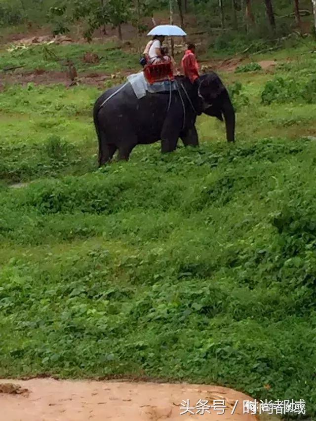 泰国普吉岛旅游多少钱,泰国普吉岛旅游现状