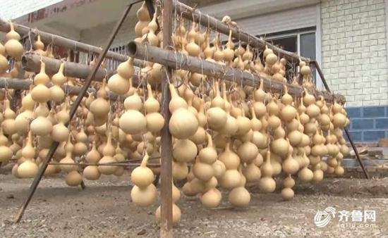 葫芦第一村价格,山东靠葫芦致富