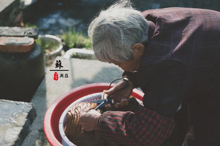 蹇冨績鍐棩灏忚,蹇冨績鍐棩