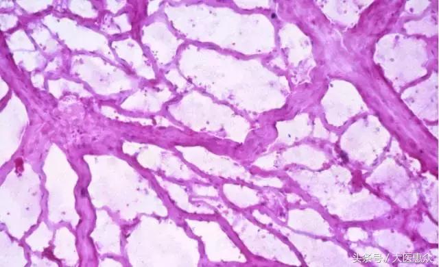 不要再有多么痛的领悟！妥妥儿的收服坏心情的大姨妈