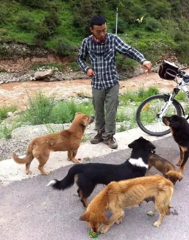 在路上突然被狗追咬是什么征兆,突然被狗追意味着什么