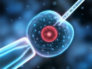 莲花宝宝：泰国试管婴儿移植，子宫内膜厚度多少才合适？