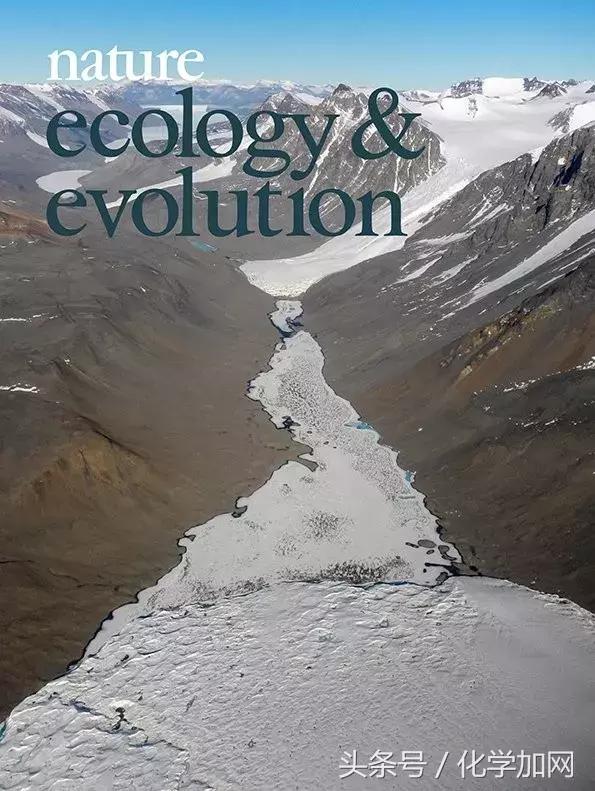 nature杂志封面2023图文,nature杂志渐变色