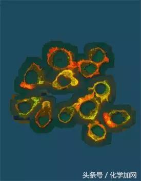 nature杂志封面2023图文,nature杂志渐变色