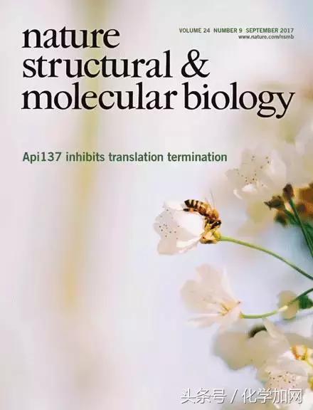 nature杂志封面2023图文,nature杂志渐变色