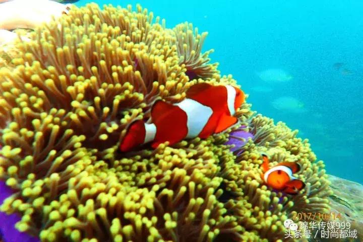 泰国普吉岛旅游多少钱,泰国普吉岛旅游现状