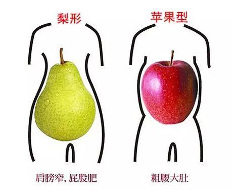 大腹便便怎么能减下来,大腹便便怎么办