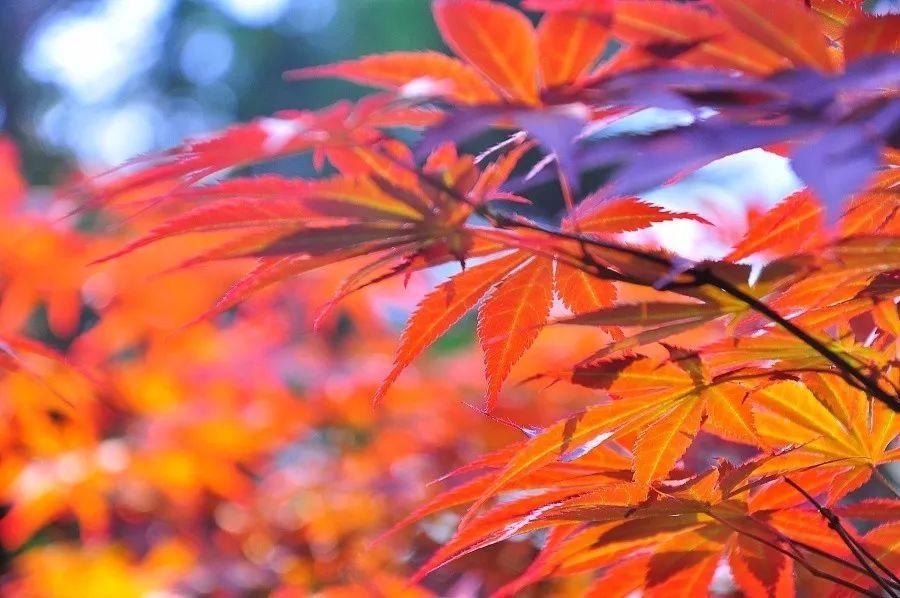 今年最in的口红你选对了吗,今年秋冬最显白的口红都在这里了