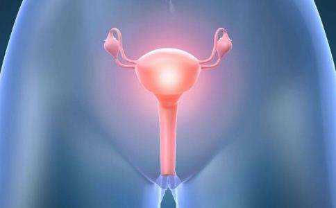 莲花宝宝：泰国试管婴儿移植，子宫内膜厚度多少才合适？