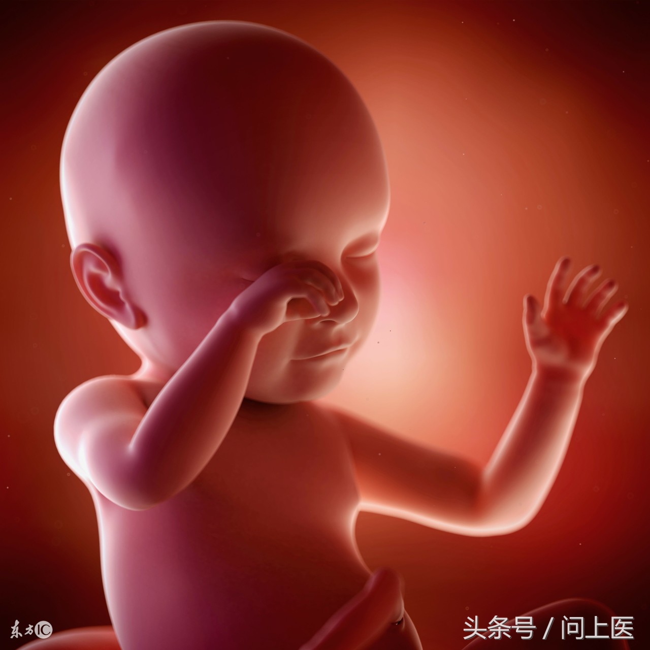 生男生女的谣言有哪些,到底生男生女要不要听谣言