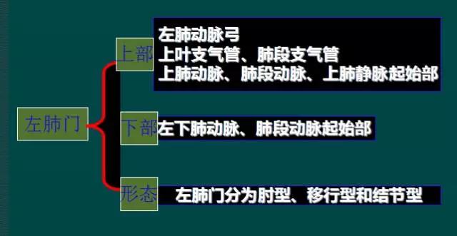 读完该文，让你学会如何看胸片