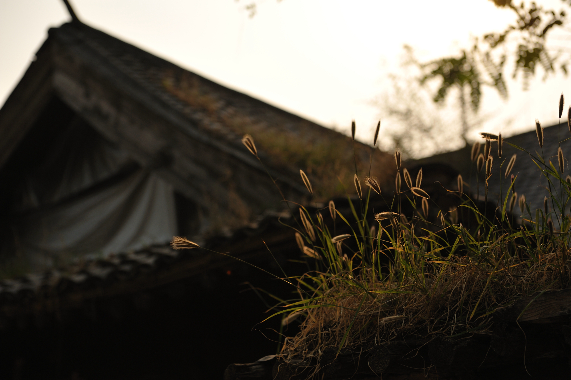 怀柔星美晟影视城,怀柔星美影视城地址