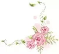 男人适合爱马仕哪款香水,女生喜欢爱马仕哪款香水