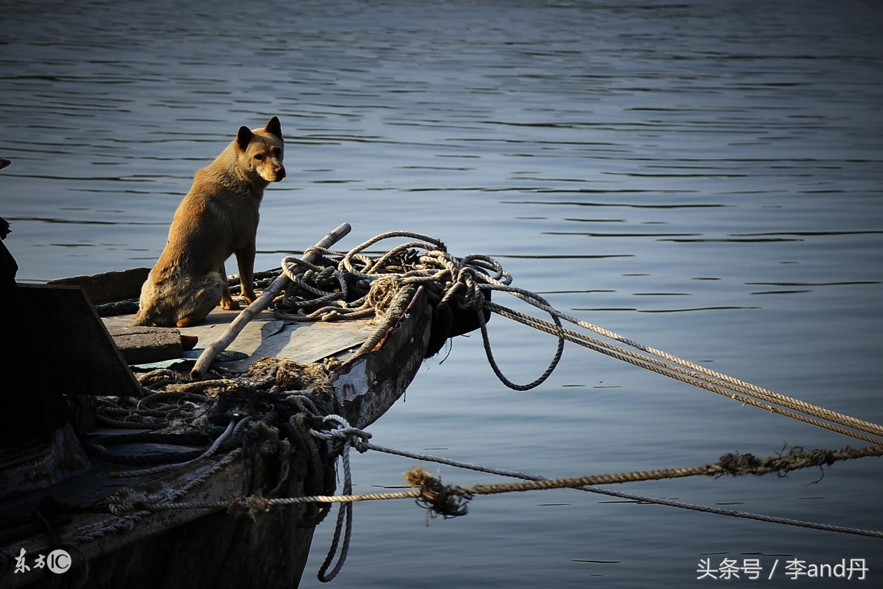戒掉网赌重头开始,戒掉网瘾重头开始