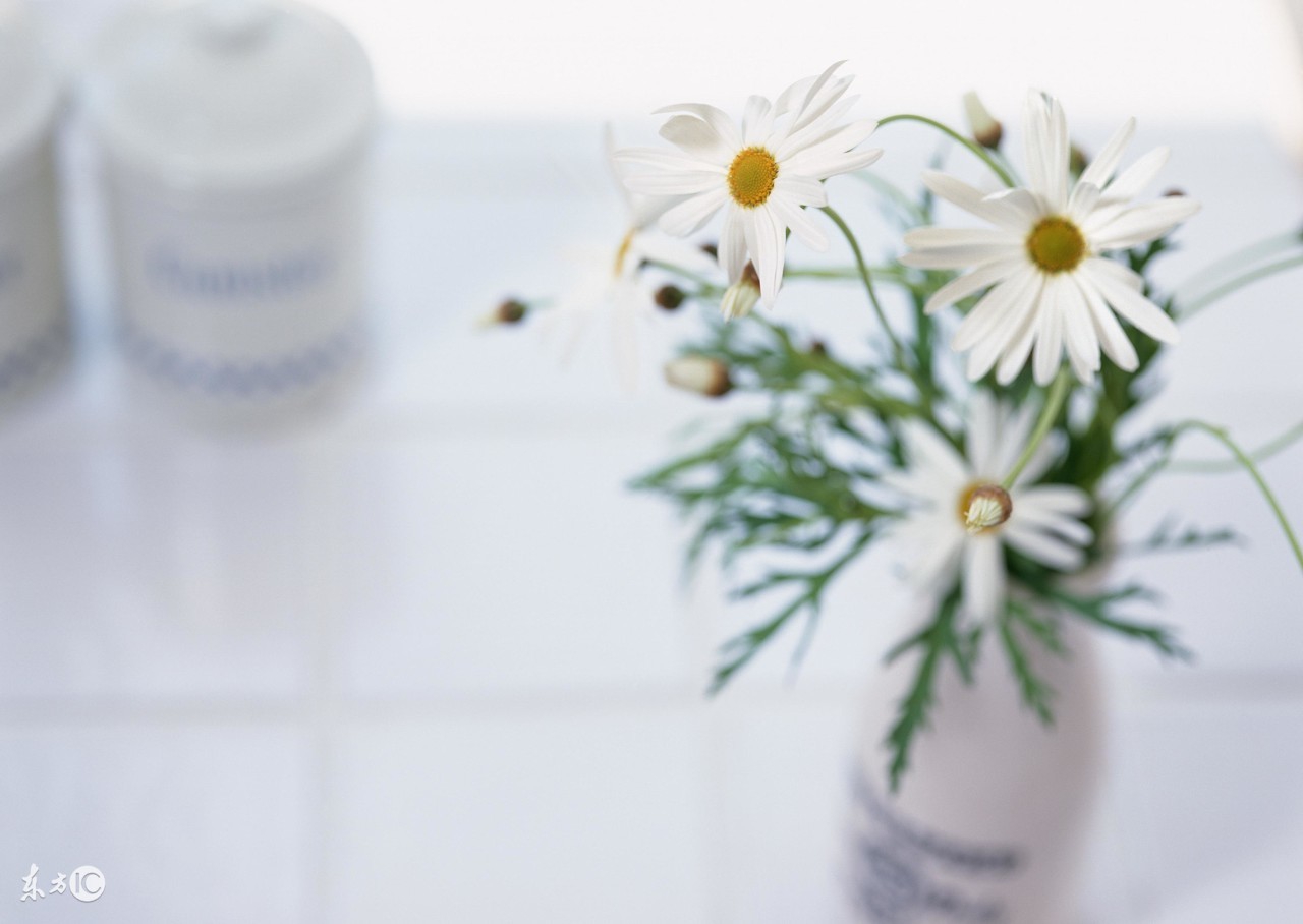 木门划伤,十大妙招处理木门刮伤问题