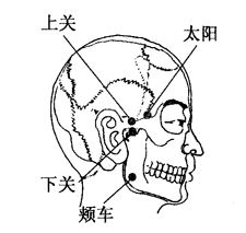 全身解毒最快的穴位,打通全身经脉的穴位