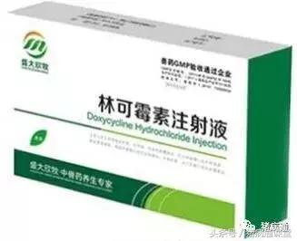 猪场林可霉素配庆大霉素主治,猪场用林可霉素作用