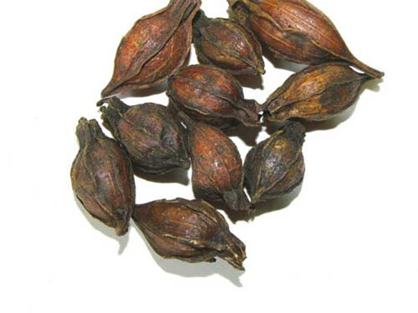 中医治疗崩漏的最佳方法,王渭川医术怎么样