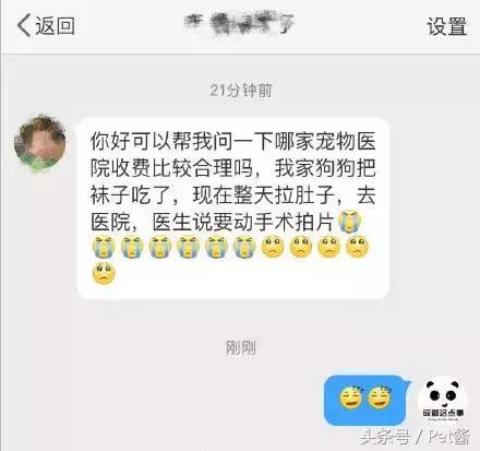 狗狗吃了袜子怎样才能排出来,狗狗把袜子吃到肚子里能消化吗