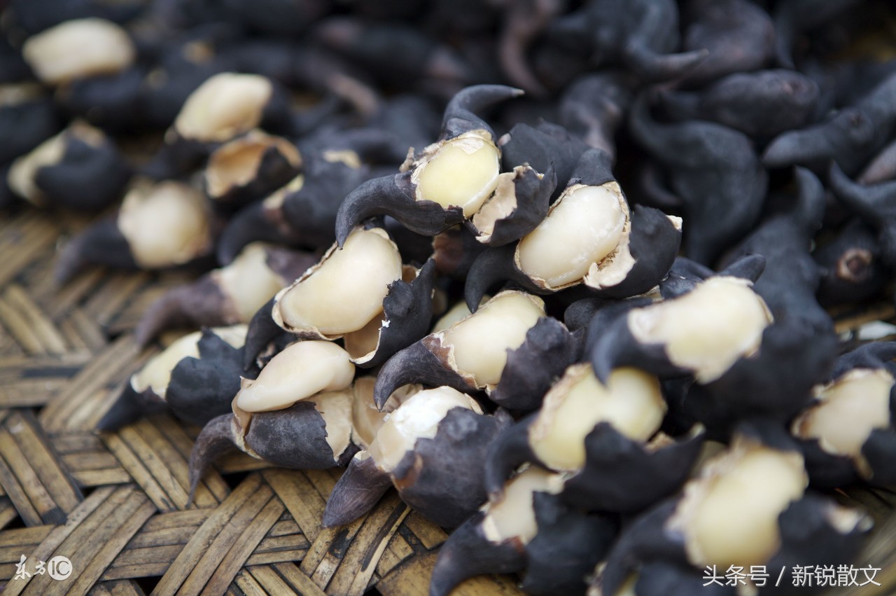 我的岳父完整版视频,我的岳父简介