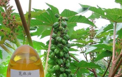 怀孕后如何消除妊娠纹：12个有效方法任你选