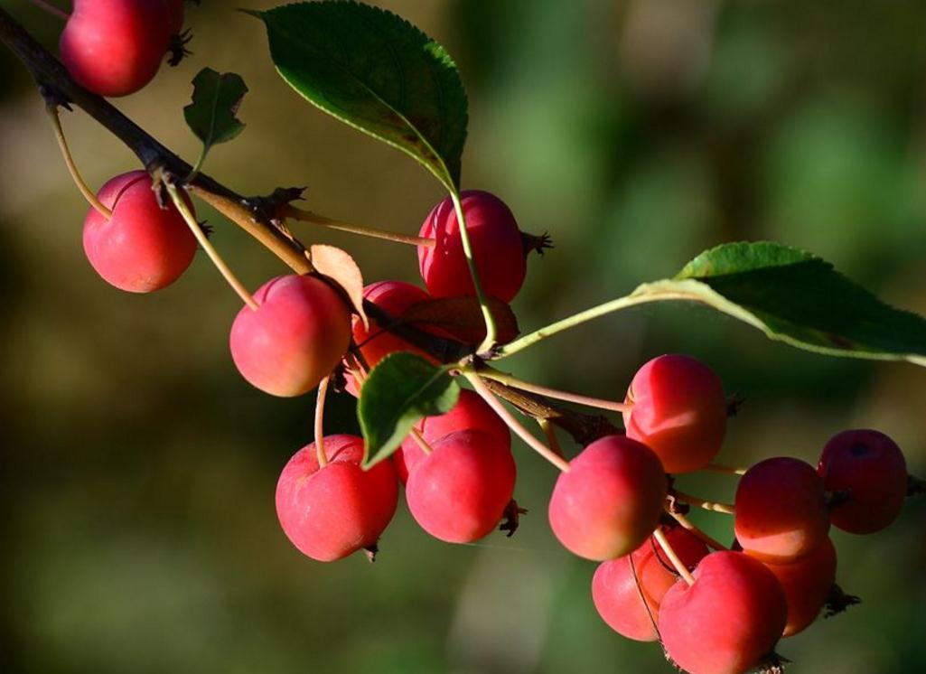 当你低谷时你该怎么做,当你对一切都彻底失望的时候