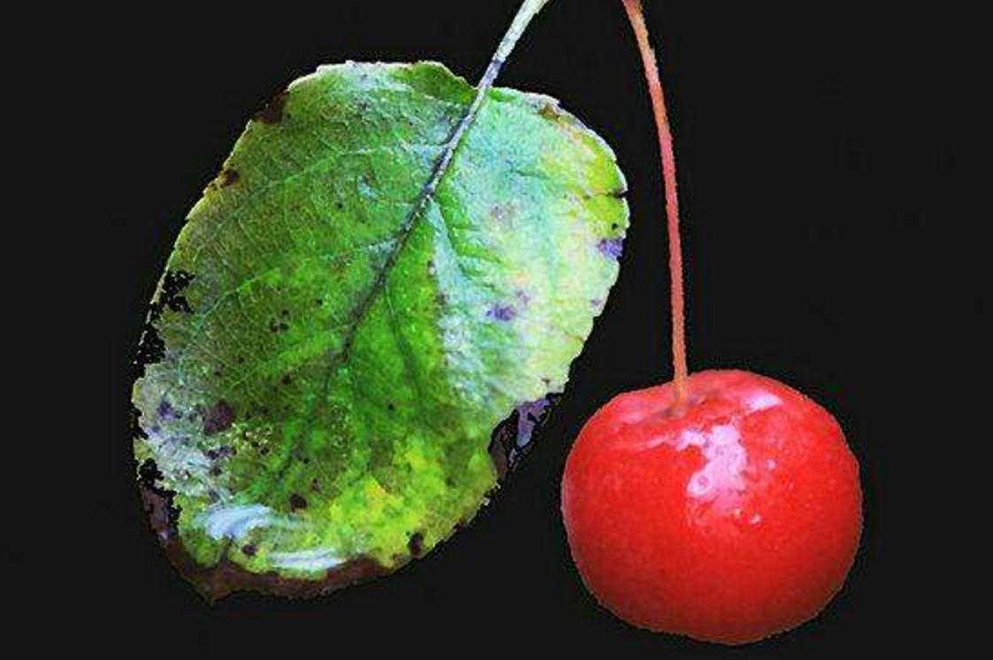 当你低谷时你该怎么做,当你对一切都彻底失望的时候