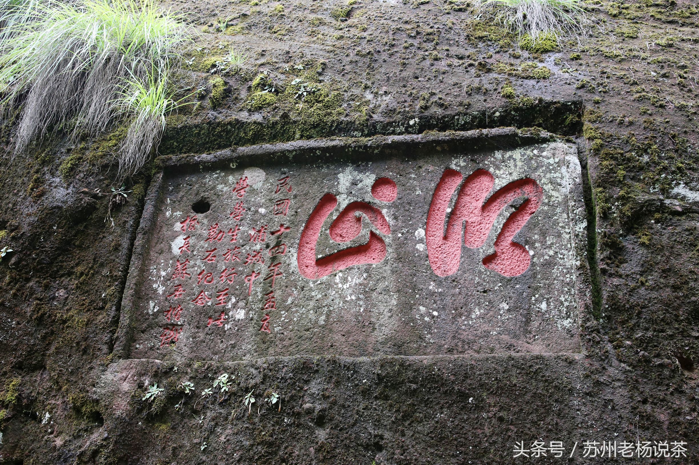 老杨说茶最新视频,老杨说茶岩茶