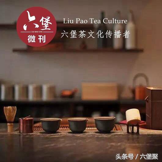 茶树与茶叶种类区别图解,茶树茶叶的基本知识