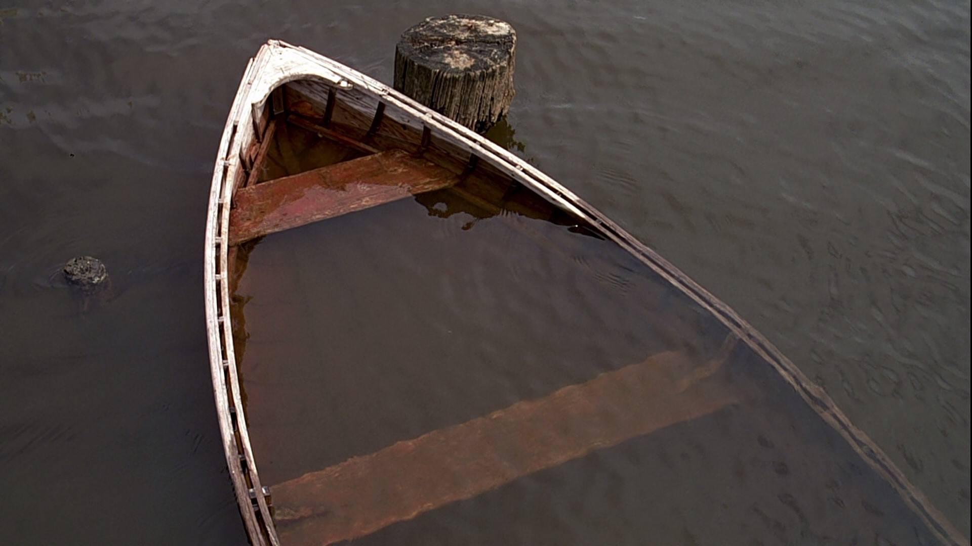 金凯瑞重头演绎楚门经典台词,金凯瑞楚门的世界电影解说