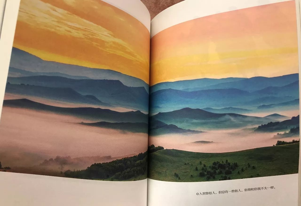 大冰畅销书和谁齐名,百万畅销书大冰2018