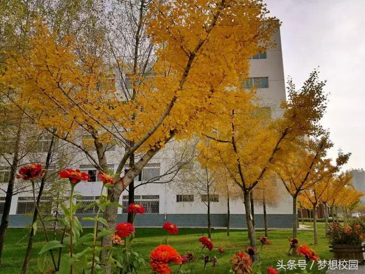 甘肃农业大学宣传片完整版,甘肃农业大学校园风景视频