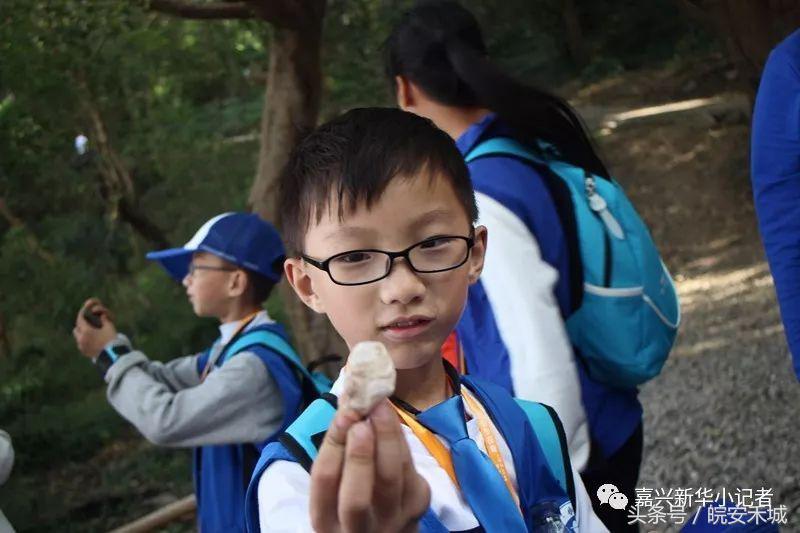 平湖蓝精灵,平湖九龙山全程参观