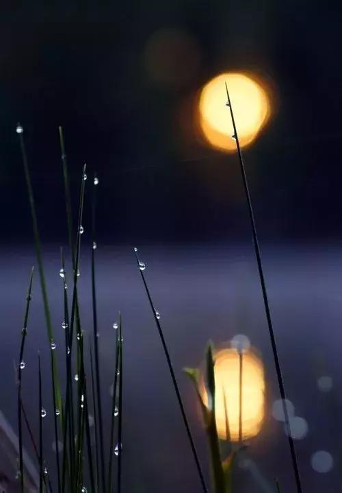 一号难求的名医专家,名医一号难求免费坐诊