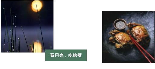 一号难求的名医专家,名医一号难求免费坐诊