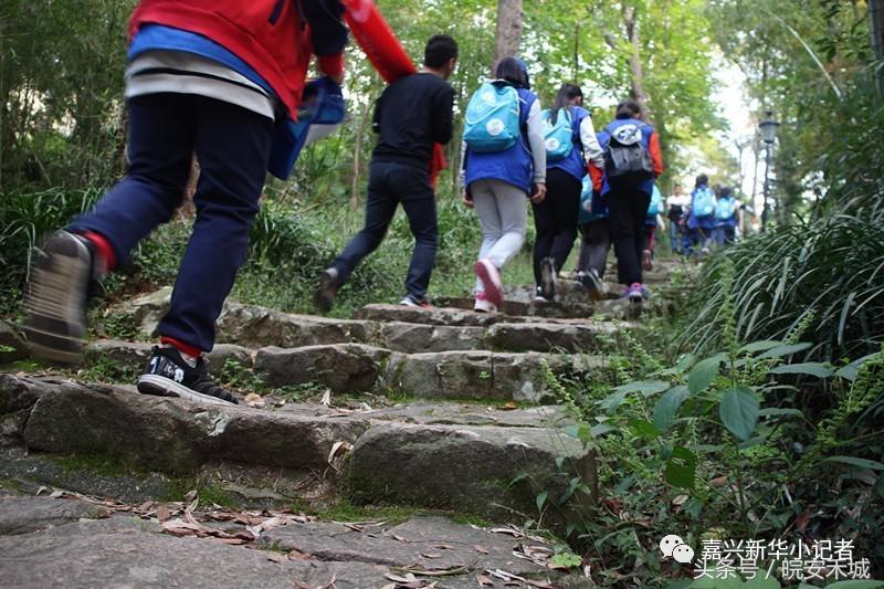 平湖蓝精灵,平湖九龙山全程参观