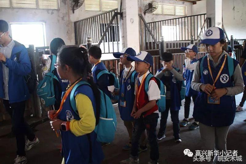 平湖蓝精灵,平湖九龙山全程参观