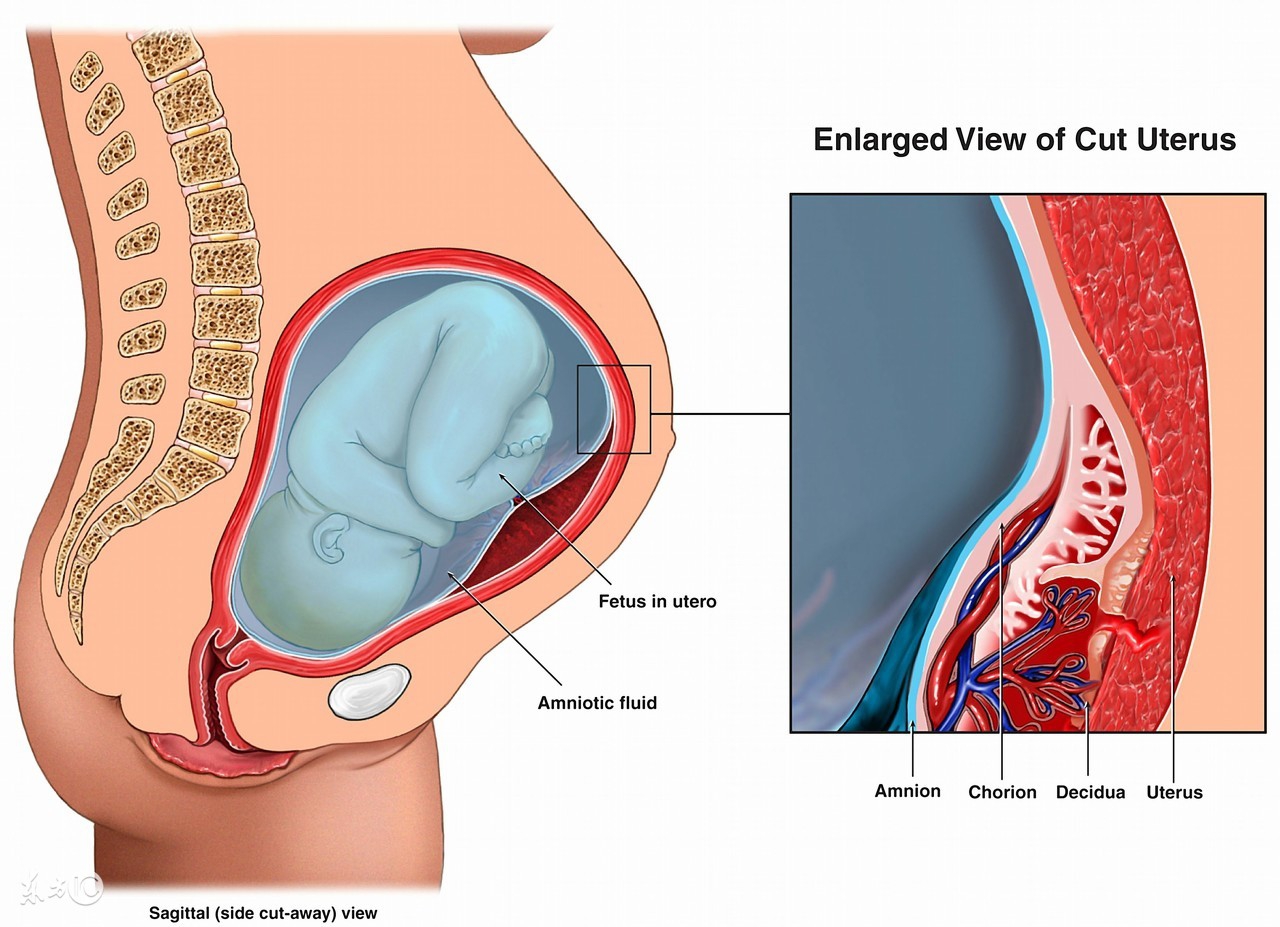孕妇胎膜早破会影响胎儿发育吗,胎膜早破怎么预防