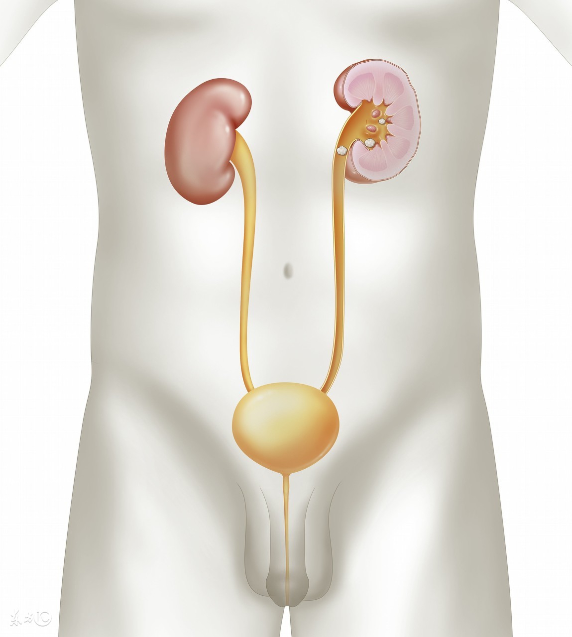 孩子晚上尿床有自愈的吗,孩子晚上尿床怎么调理