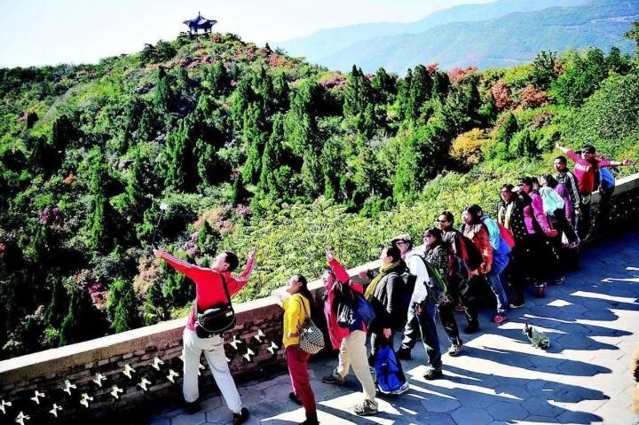 登龙山红叶图片大全,登高山顶赏风景