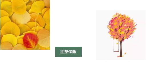 一号难求的名医专家,名医一号难求免费坐诊