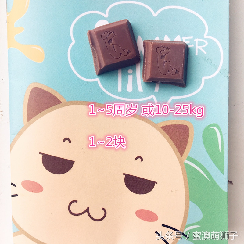 澳洲巧克力安全吗,澳洲巧克力关注事项