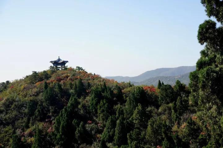 登龙山红叶图片大全,登高山顶赏风景